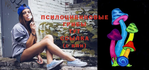PSILOCYBIN Кострома