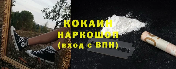 PSILOCYBIN Корсаков