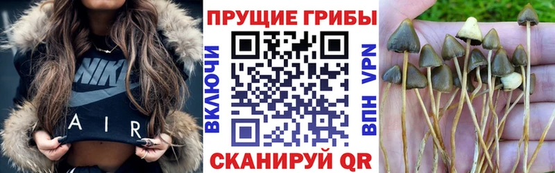Галлюциногенные грибы Psilocybine cubensis  блэк спрут   Видное  продажа наркотиков 