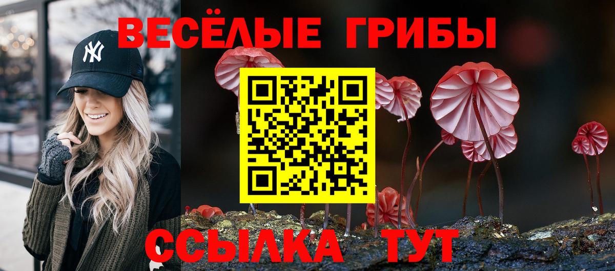 Галлюциногенные грибы прущие грибы Видное