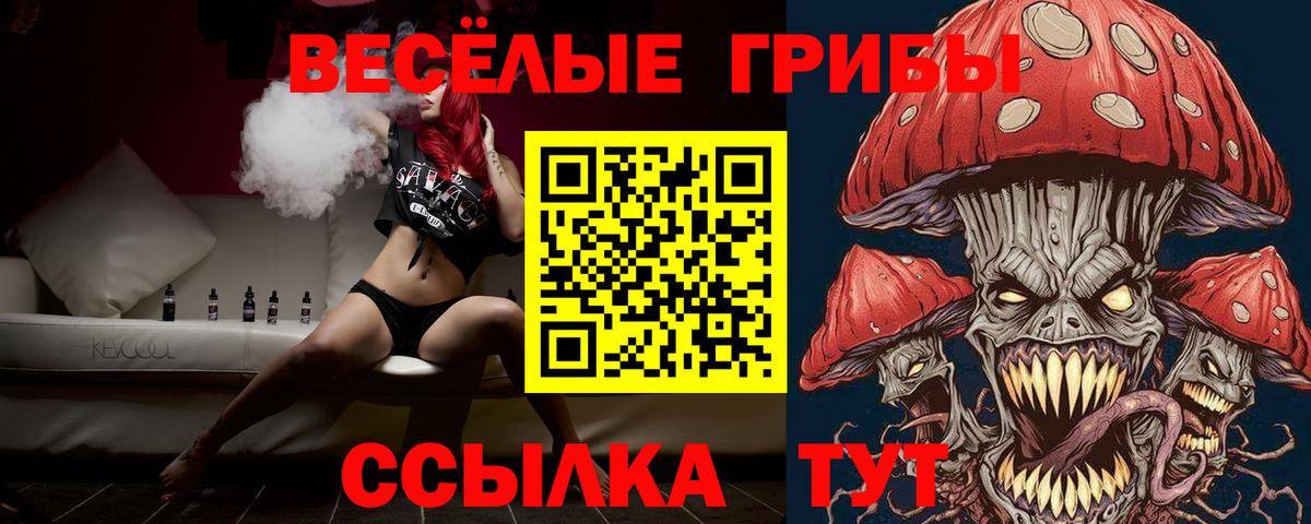 Псилоцибиновые грибы ЛСД  Вход с VPN  купить наркотики цена  Видное 