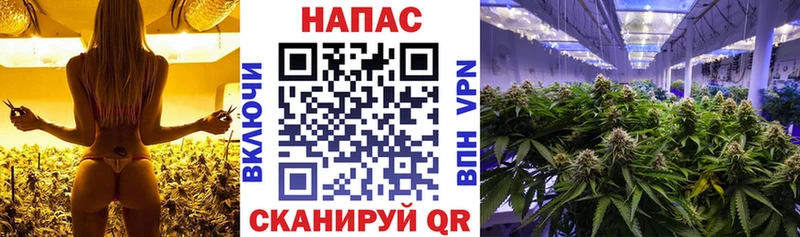 купить наркотики цена  Видное  ОМГ ОМГ ONION  Бошки Шишки AK-47 